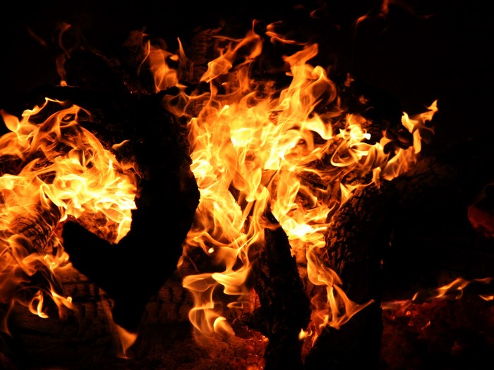 Close-up of a campfire with burning logs