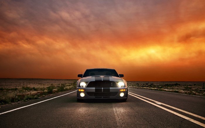Ford Mustang Shelby GT500 on a road at sunset
