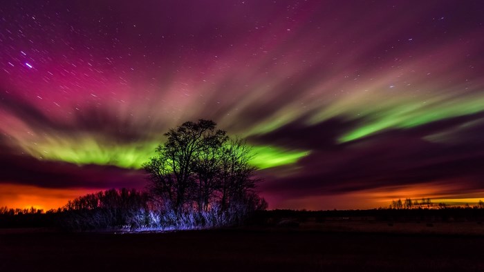 Aurora Borealis over trees and landscape