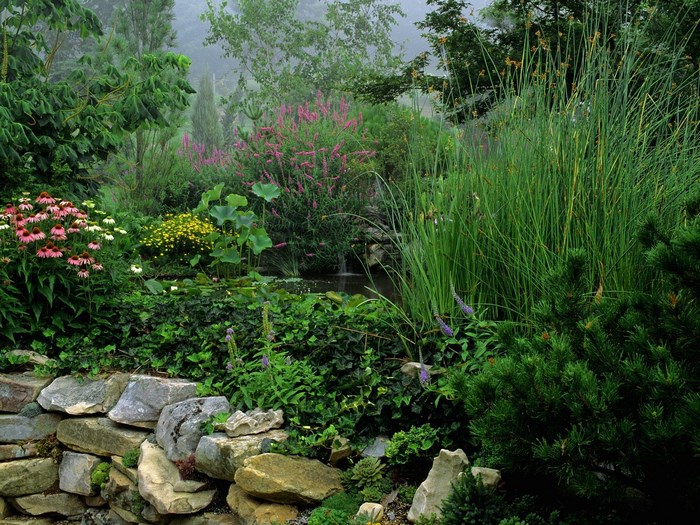 A misty garden with a pond and stone wall