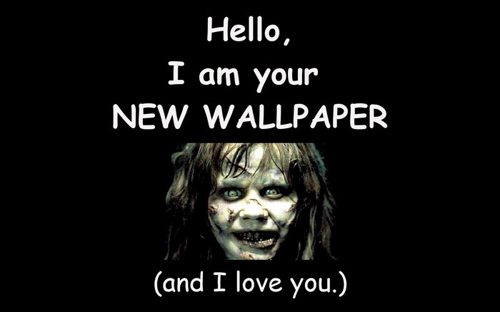 Hello, I am your NEW WALLPAPER