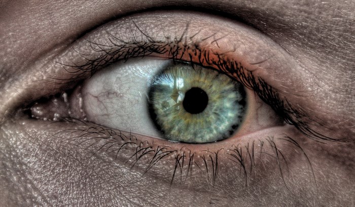 Close-up of a human eye