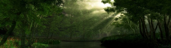 Sunbeams in a Forest