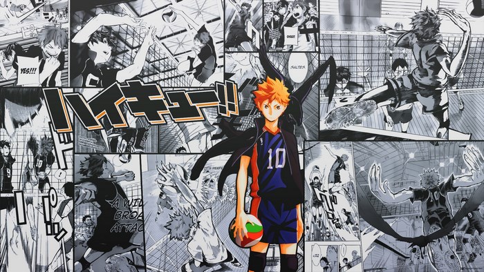 Haikyuu!! Manga Collage with Shoyo Hinata