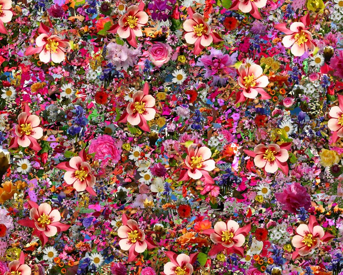 Collage of colorful flowers and plants