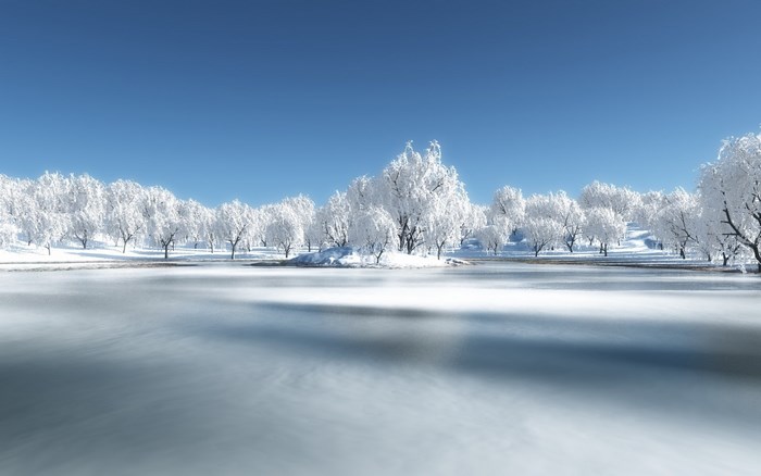 Winter landscape with frozen lake and snow-covered trees
