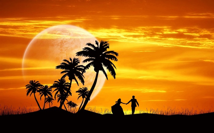 Couple walking on a hill at sunset with palm trees
