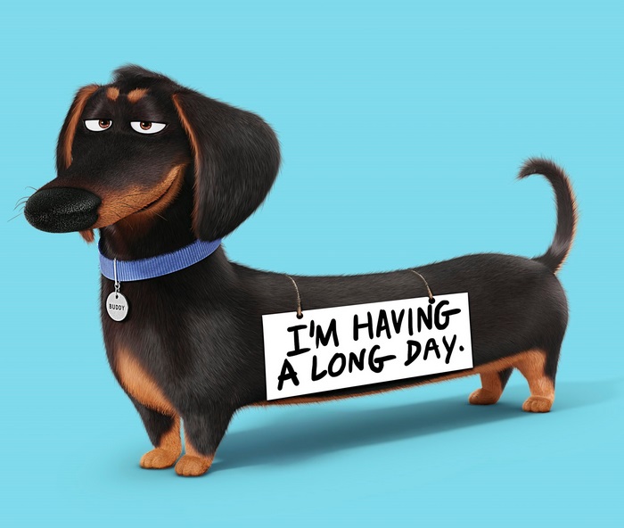 Buddy the Dachshund From The Secret Life of Pets