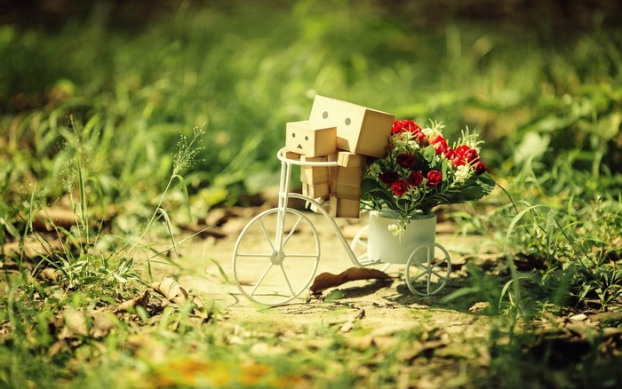 Danbo figures on a bicycle with flowers