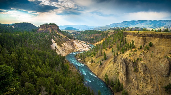 Yellowstone Landscape 4K