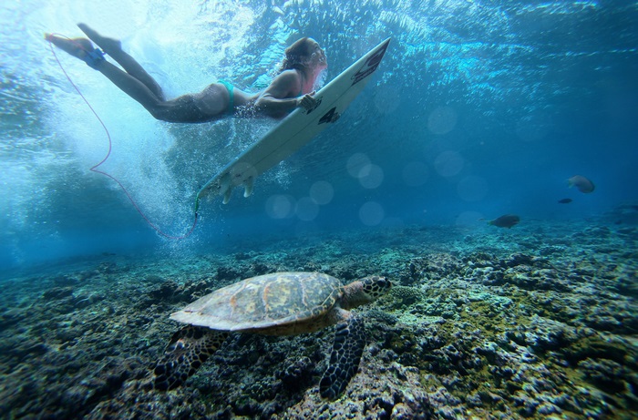Surfer girl and sea turtle underwater 4K