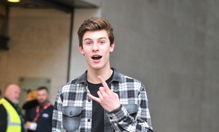 Shawn Mendes in a Plaid Shirt
