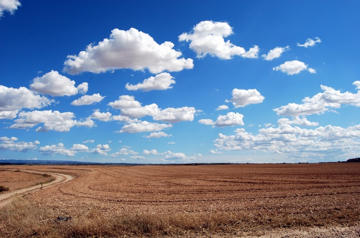 Brown field under blue sky with clouds