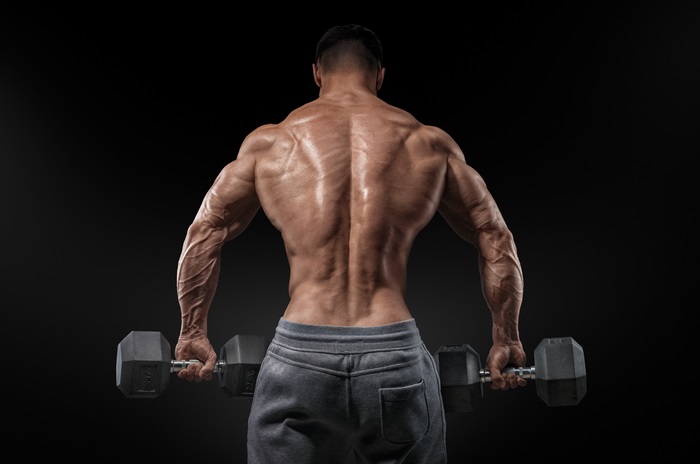 Bodybuilder with dumbbells, 4K