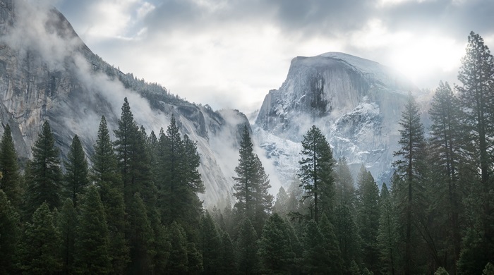 Misty Mountains and Forest