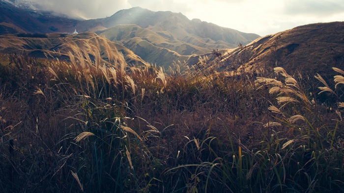 Landscape 4K