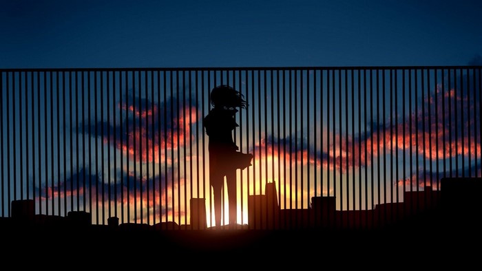 Anime Girl Silhouette at Sunset with Rooftops