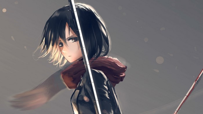 Mikasa Ackerman from Attack on Titan
