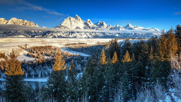 Winter Mountains and Forest in Grand Teton National Park