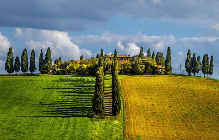 Tuscan Villa with Cypress Trees and Fields