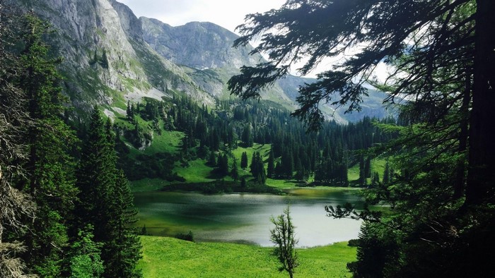 Mountain lake surrounded by pine trees and rocky peaks