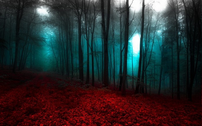 Red forest floor with blue mist and trees