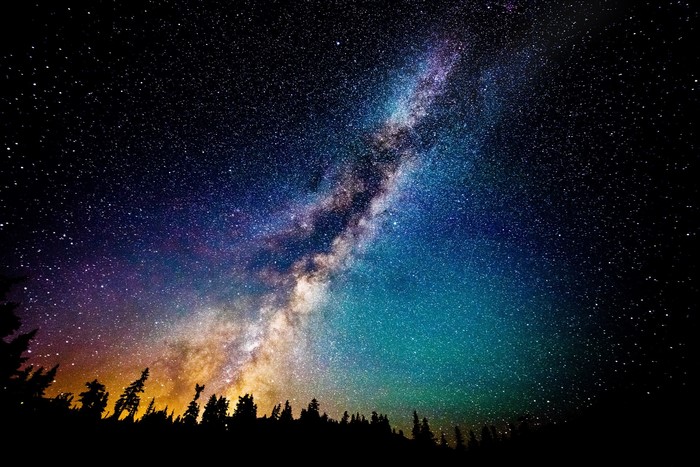 Milky Way galaxy over a silhouetted forest at night