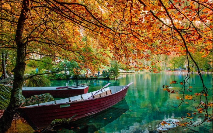 Serene Lake with Autumn Leaves and Boats