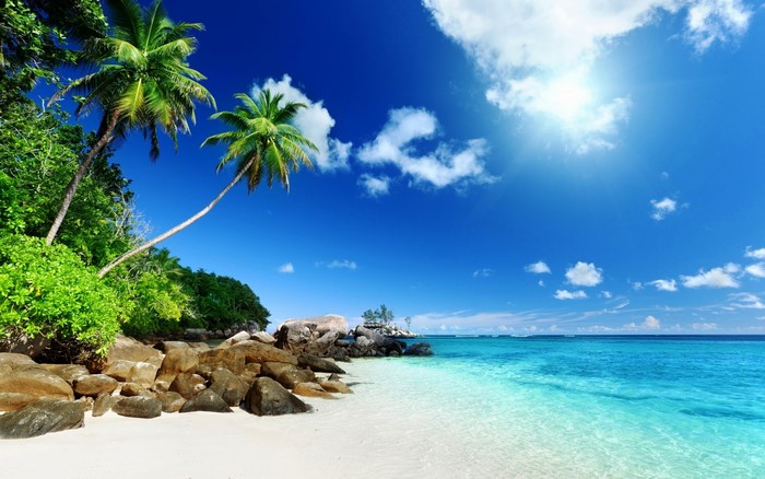 Tropical island beach with palm trees and clear blue water