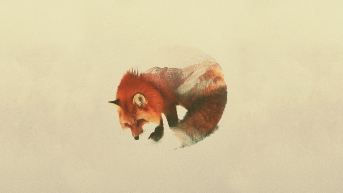 Double exposure of a fox and mountains