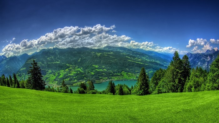 Panoramic view of a green valley with a lake and mountains