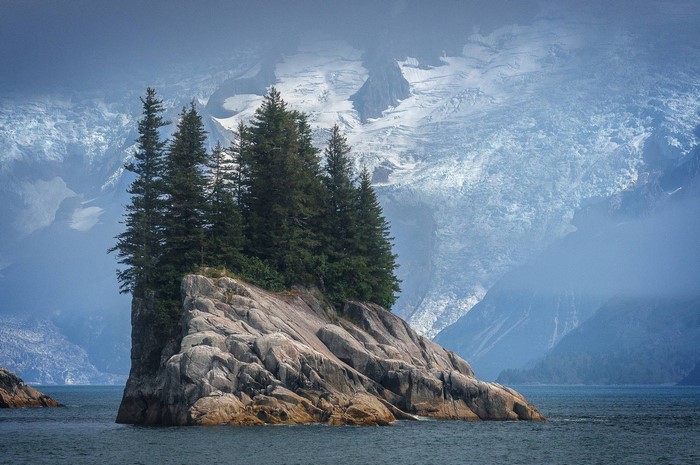 Island with trees and snowy mountains in water