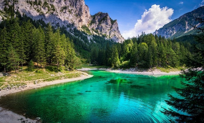 Serene Lake Surrounded by Forest and Mountains