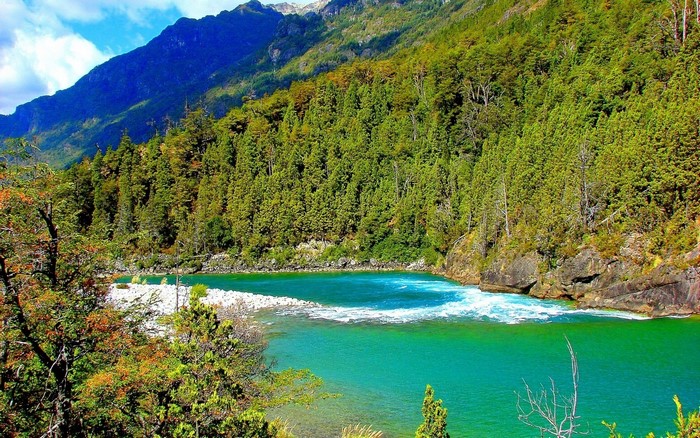 Turquoise river flowing through a lush green forest with mountains