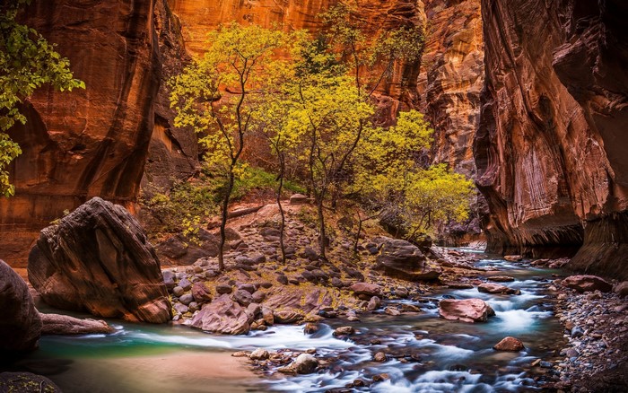 Zion National Park River Canyon Landscape