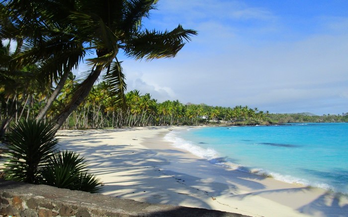 Tropical beach with palm trees and turquoise water
