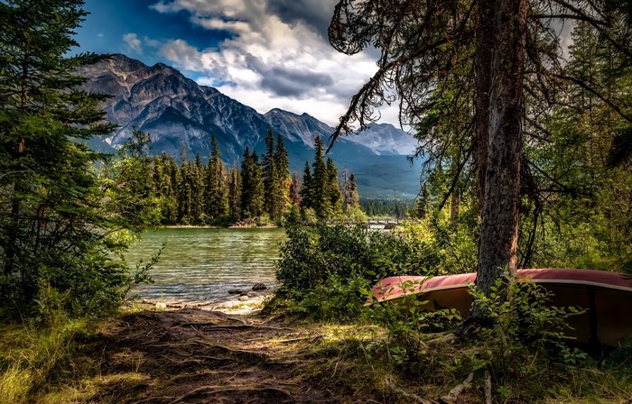 Tranquil Lake and Pine Forest with Mountain View