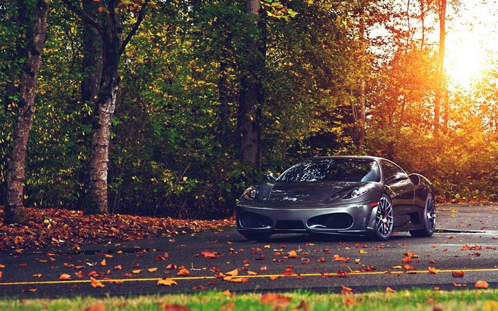 Ferrari F430 parked on a road with autumn leaves