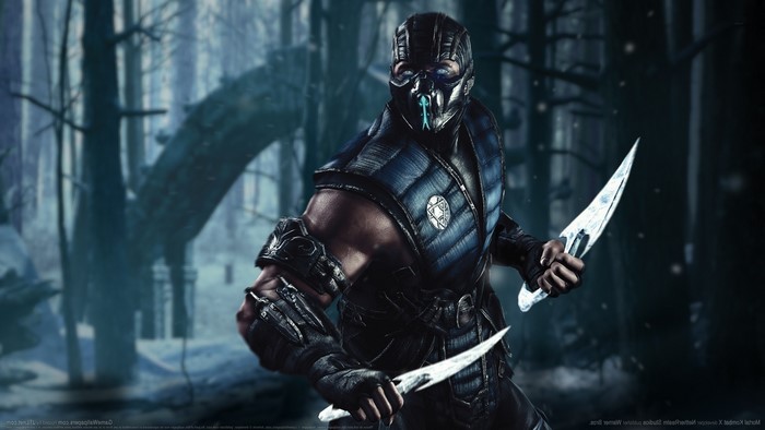 Mortal Kombat X Sub Zero in Frosty Combat Pose