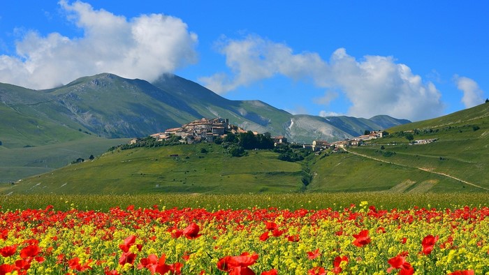 Village on a hill with poppy and yellow flower field