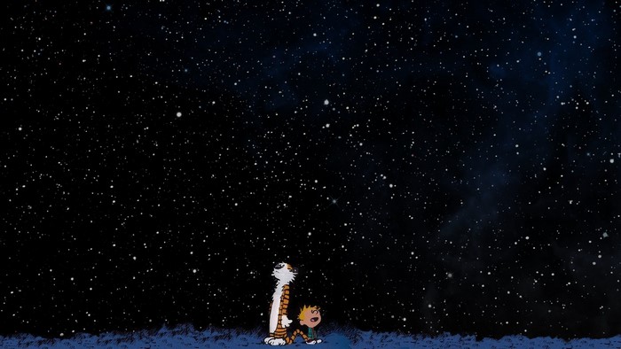 Calvin and Hobbes in space