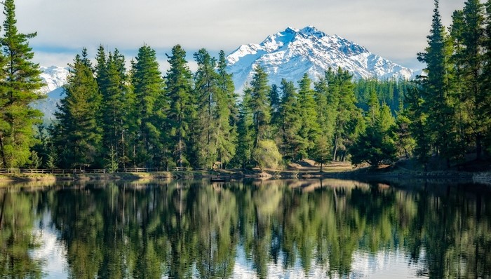 Lake with pine forest and snowy mountain reflection