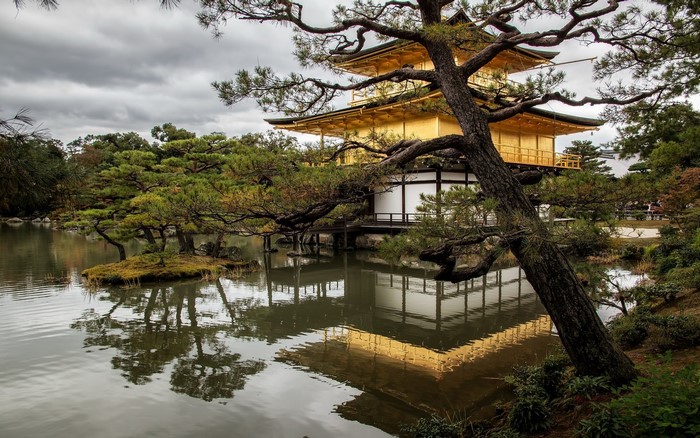 Kinkaku-ji Temple Reflecting on Tranquil Pond in Kyoto