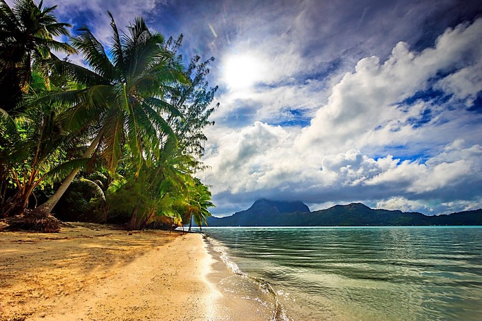 Tropical beach with palm trees and island in the distance