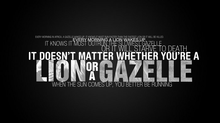 Motivational quote about lions and gazelles