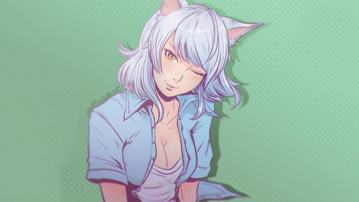 Tsubasa Hanekawa from Monogatari Series