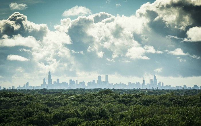City skyline over a forest under cloudy sky