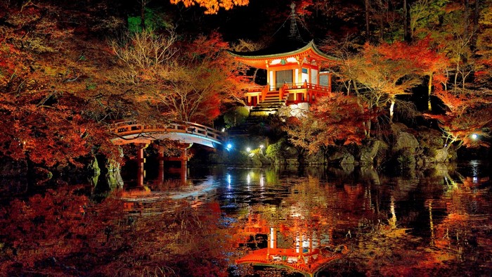 Japanese temple and bridge illuminated at night during autumn