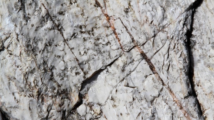 Close-up of a textured rock surface with cracks