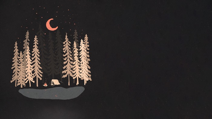 Night forest camping with moon and stars